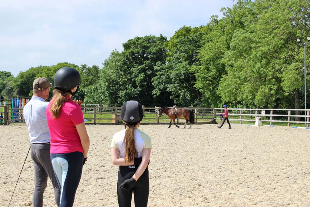 Group long rein lesson